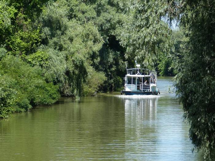 5 motive ca să-ți surprinzi părinții cu o excursie în Delta Dunarii