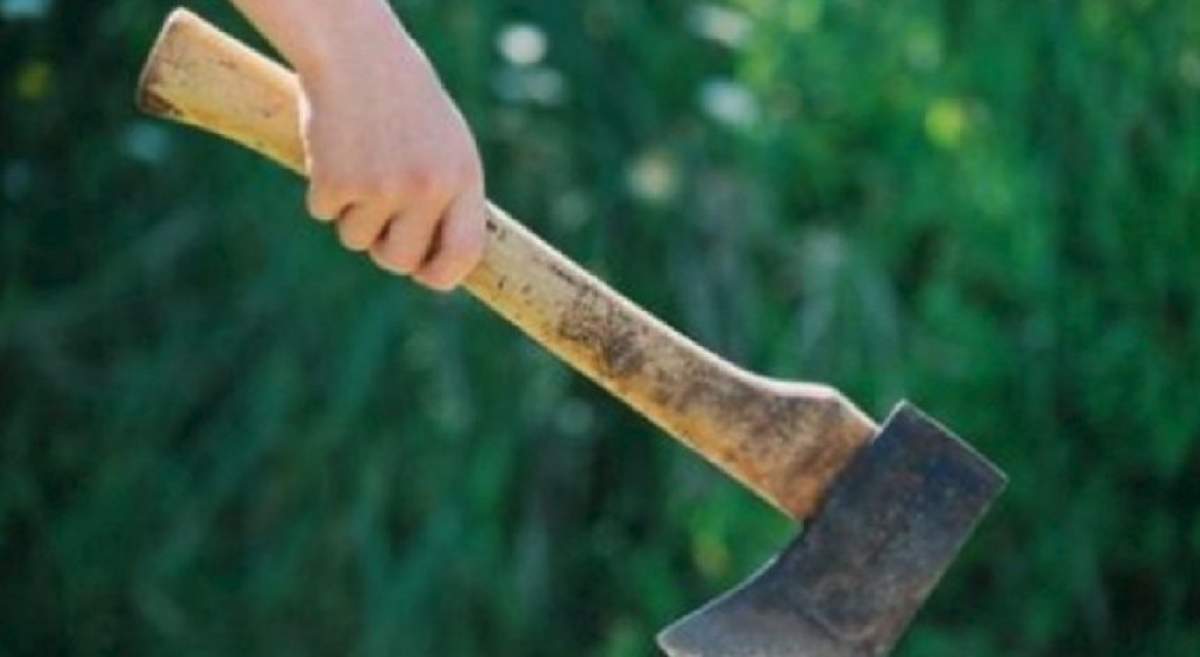 Un bărbat de 38 de ani din Argeş a fost împuşcat de poliţişti, după ce i-a atacat cu un topor