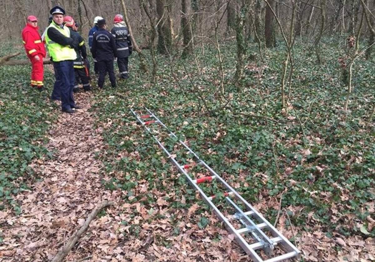 Descoperire şocantă într-o pădure din Timişoara. Un bărbat a fost găsit spânzurat. Era în ştreang de câteva zile