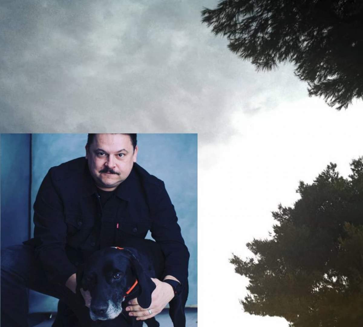Imagine şocantă făcută de Mihai Bobonete în timpul furtunii din Grecia. "Copacii nu mai sunt"