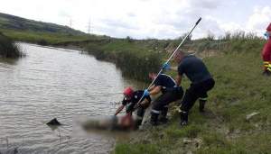 Cioban găsit înecat în râul din apropierea stânii. Bărbatul din Vaslui era dat dispărut de două zile