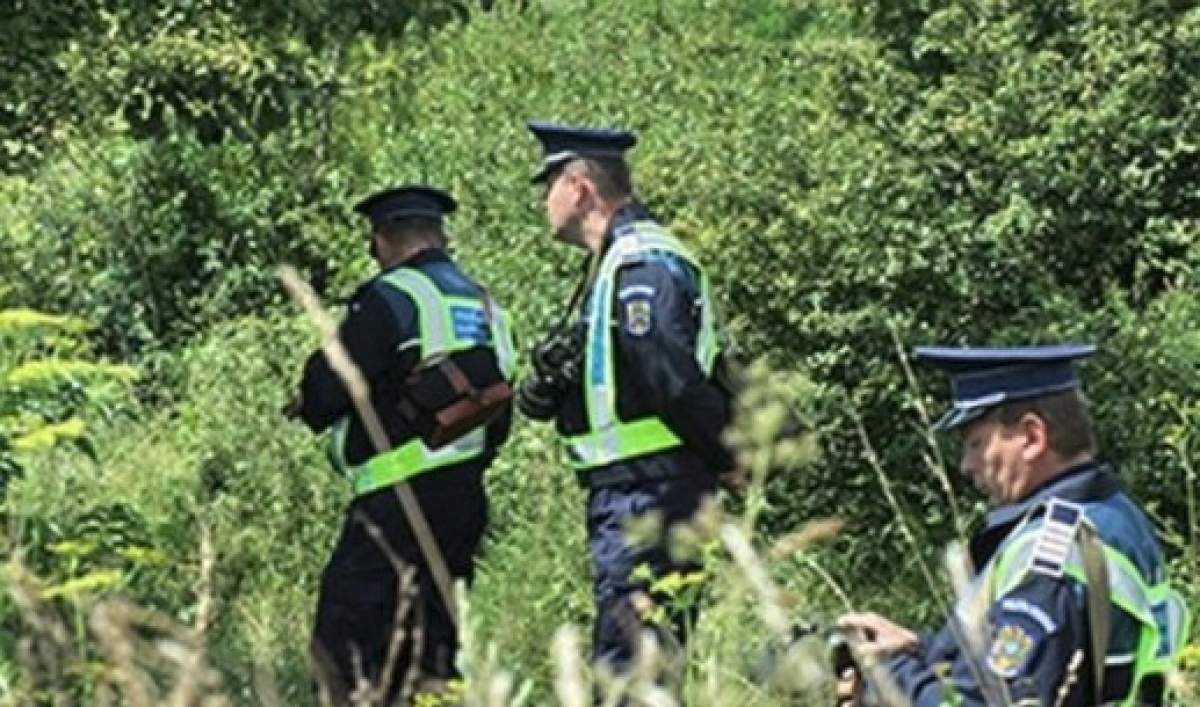 Adolescenta de 15 ani din Iași, dată dispărută, a fost găsită în pădure, după ore întregi de căutări