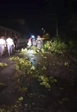 Furtunile au făcut prăpăd în ţară. Acoperişuri smulse, copaci căzuţi peste maşini şi oameni răniţi / VIDEO
