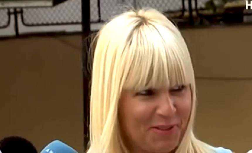 Elena Udrea ar fi ajuns în România