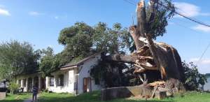 Pagubă pentru Mircea Dinescu. Furtuna de noaptae trecută i-a distrus casa pe care o are pe malul Dunării