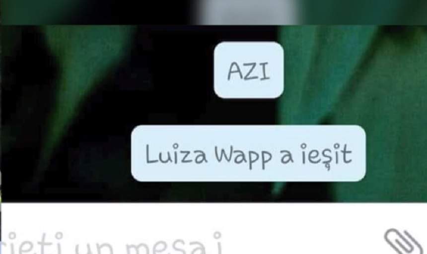 Un specialist IT aruncă bomba. Activitatea de pe WhatsApp a avut loc chiar de pe telefonul Luizei Melencu