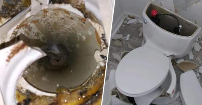 Elusive Accustomed to Farthest Toaleta unei femei a explodat, după ce a fost lovită de fulger. Cauză  incredibilă, imagini și mai incredibile. FOTO | Spynews.ro