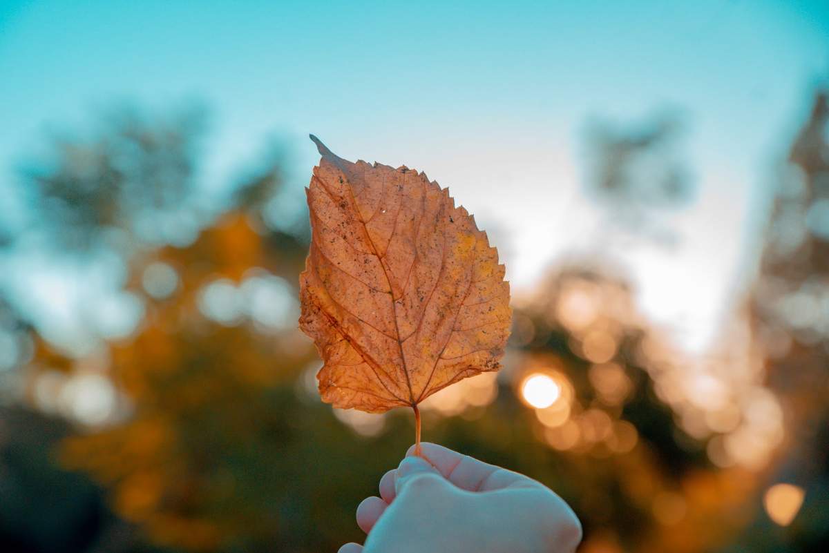 Prognoza meteo 21 septembrie. Cum va fi vremea în București, Iași, Constanța sau Cluj