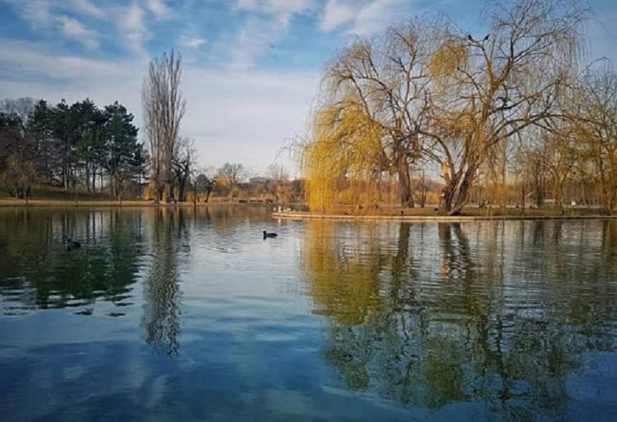 Bărbat găsit mort în lacul din parcul IOR din Capitală