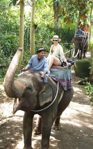 Andreea Marin, certată de fani pe internet, după ce s-a plimbat pe elefanţi în Bali. ''M-aş fi aşteptat să cunoşti această problemă''