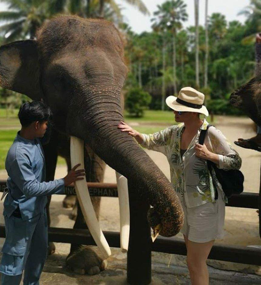 Andreea Marin, certată de fani pe internet, după ce s-a plimbat pe elefanţi în Bali. ''M-aş fi aşteptat să cunoşti această problemă''