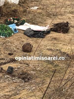 Cadavre dintr-un cimitir din Timişoara, aruncate pe un câmp de la marginea oraşului