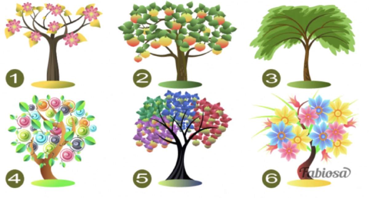 Alege o imagine! Testul copacului îți spune care este trăsătura care te definește