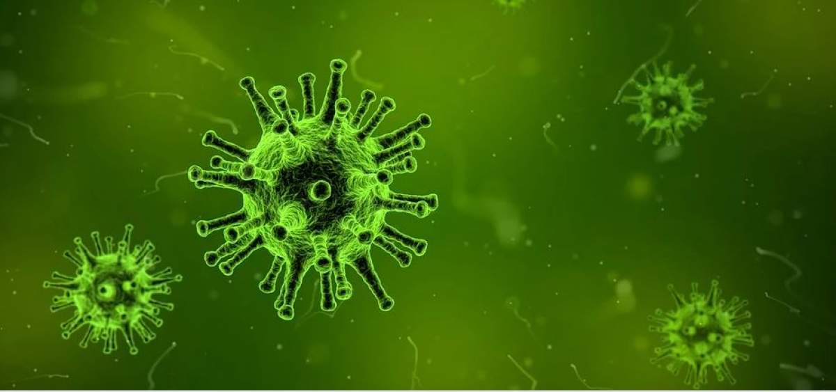 Numărul creşte de la o zi la alta! Virusul din China a ucis încă 26 de persoane în ultimele ore