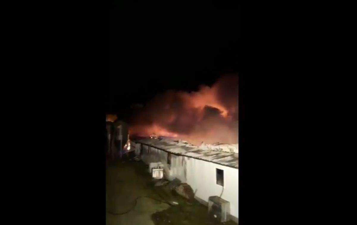 VIDEO / Sute de animale moarte în urma unui incendiu, în România, sâmbătă noapte