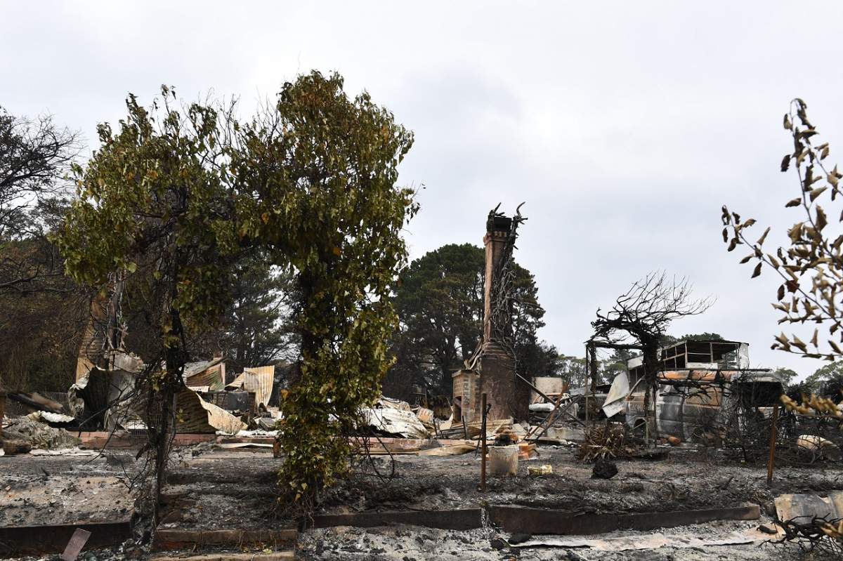 Bilanţul incendiilor din Australia. 25 de oameni şi circa 1 miliard de animale au pierit în flăcări