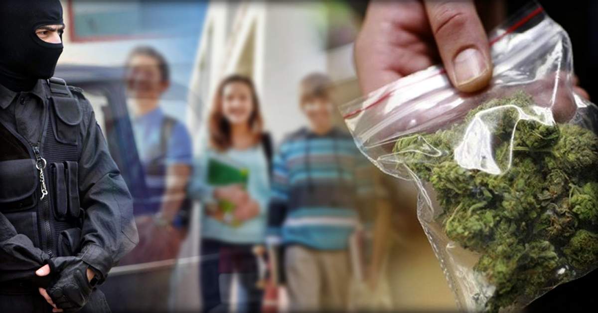 EXCLUSIV / Cannabis vândut copiilor cu „verde” de la Antidrog / Bârlogul traficanţilor, în apartamentul unor notari celebri