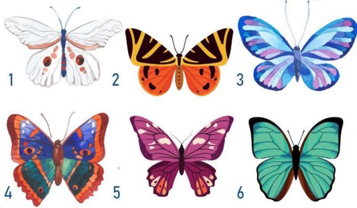 Alege un fluture test cu șase poze
