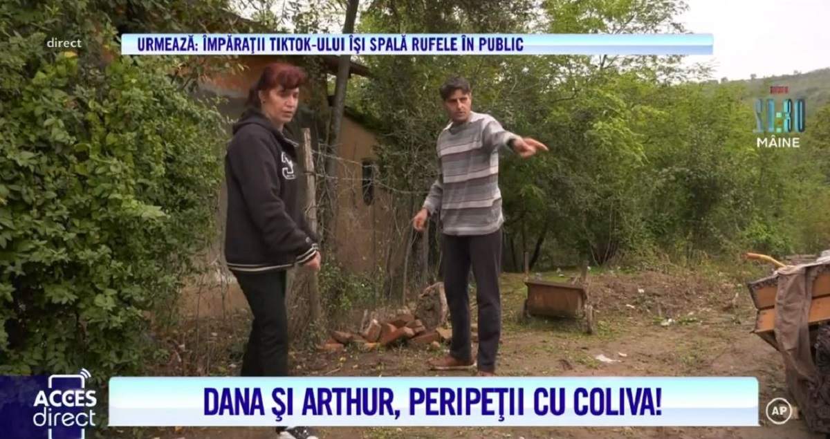 Arthur de la Ceptura și-a făcut solar pe mormântul pisicii! Cum l-a răsplătit Vulpea Dana pentru efortul depus! / VIDEO