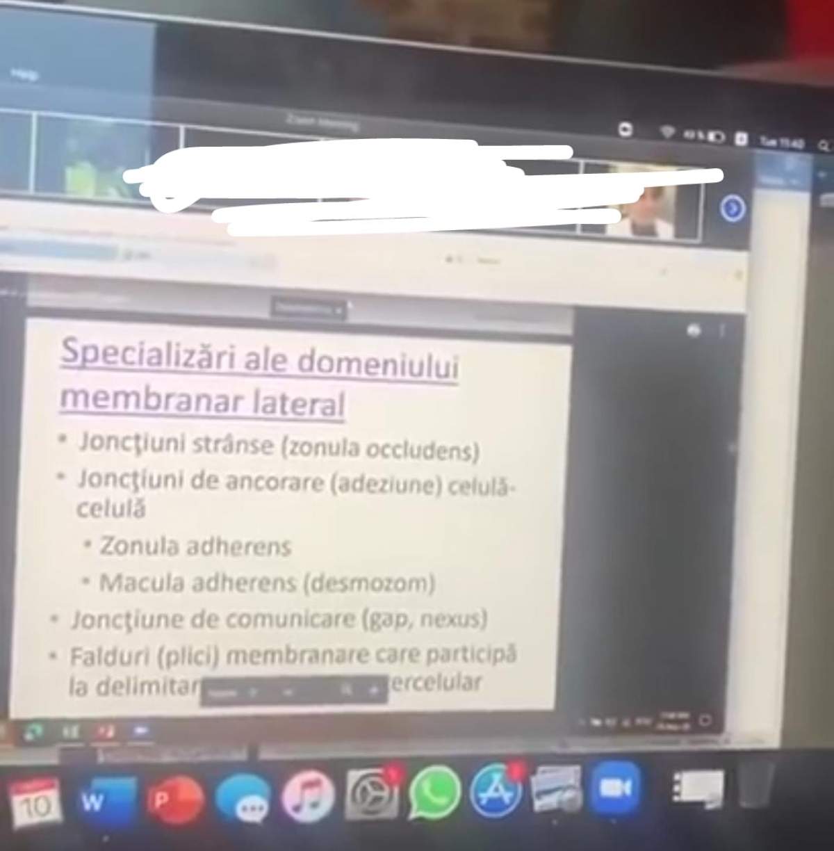 Cine este „doamna doctor Adam” și cum a ajuns „virală” pe internet / VIDEO