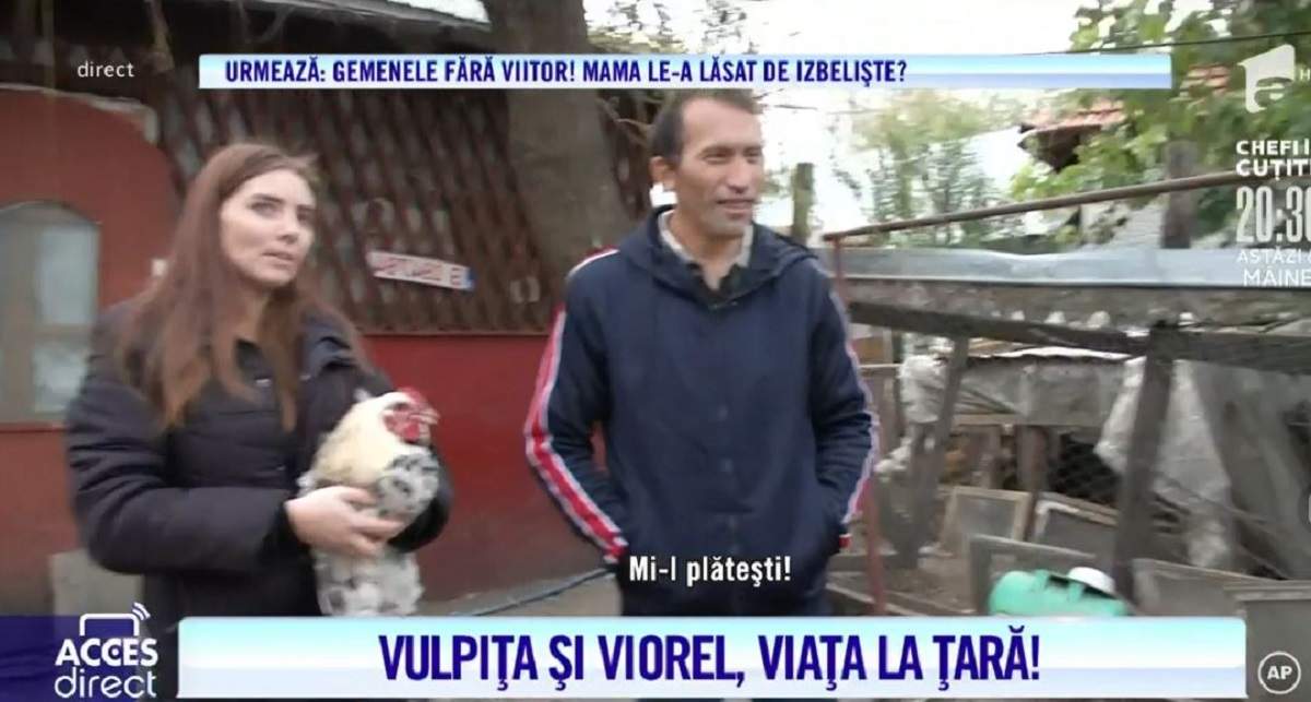 Veronica și Viorel, prădați de hoți? Soții Stegaru au rămas fără cocoș și găină! Ce s-a întâmplat cu păsările celor doi! / VIDEO