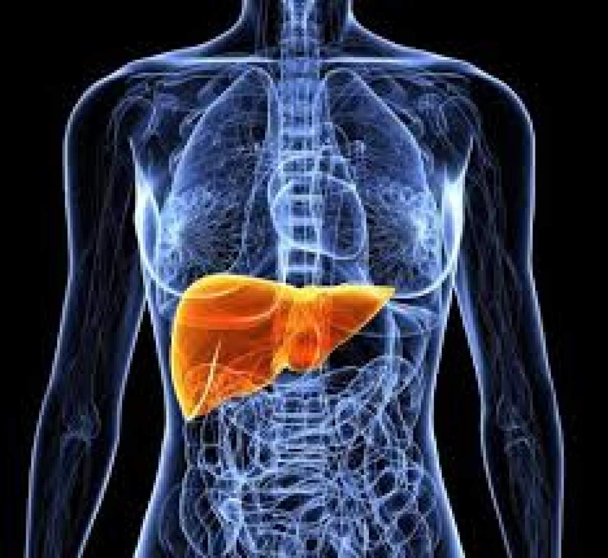 Ce este steatoza hepatică și ce regim alimentar este indicat