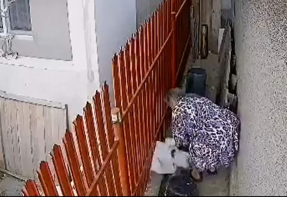 Bătrână din Galați, cercetată penal pentru că a furat câinele vecinului. Isprava femeii a fost filmată în întregime / VIDEO