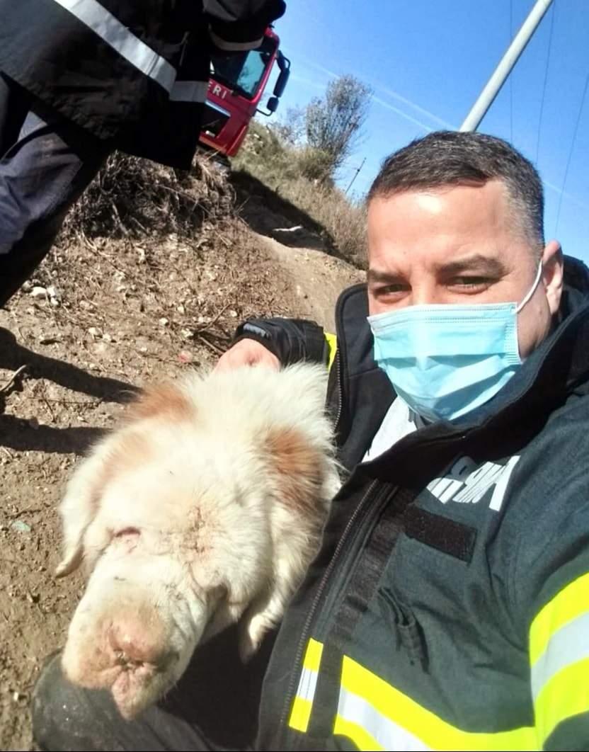 Cum au salvat pompierii din Giurgiu un câine orb, de la înec! „A fost o misiune inedită” /  FOTO