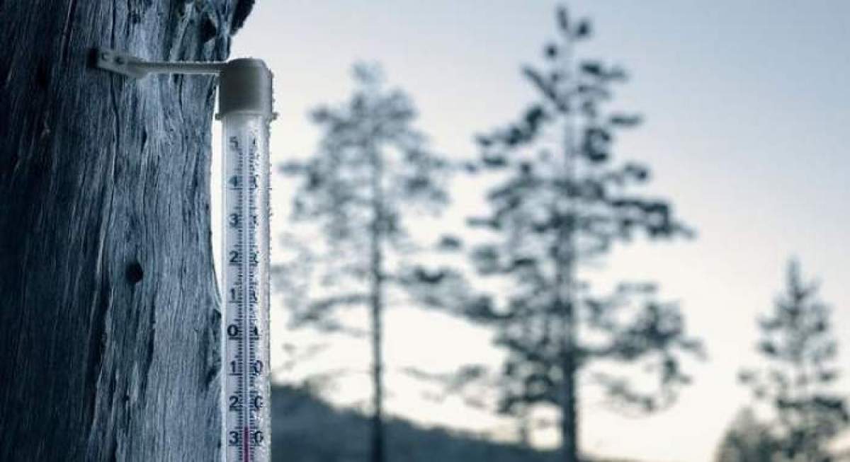Fotografie de toamnă, ce ilustrează scăderea temperaturilor, cu un termometru și un copac brumat