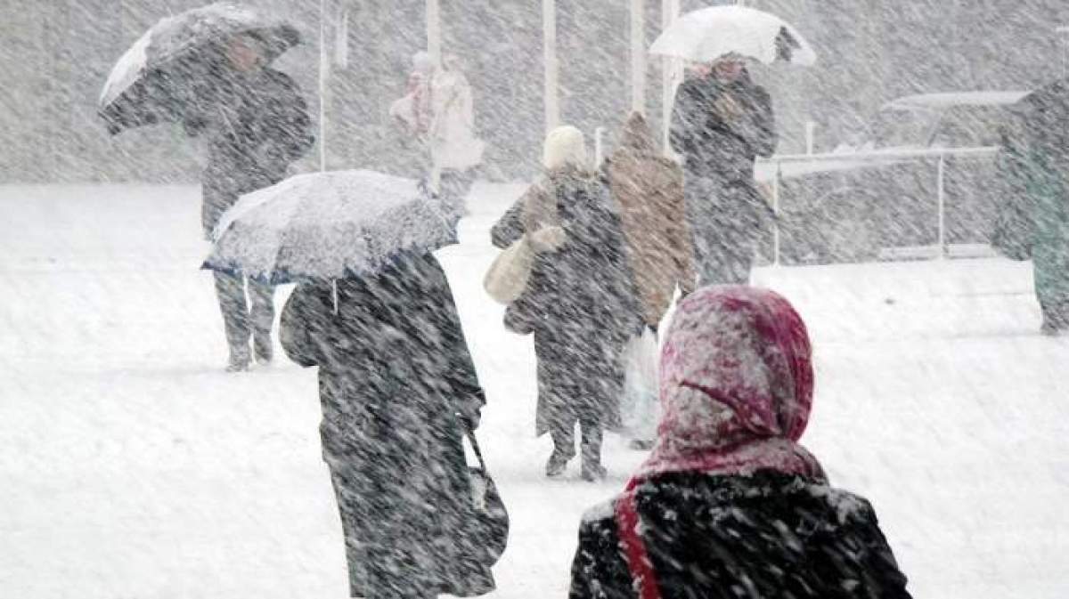persoane aflate cu umbrelele în zapada