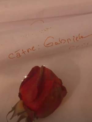 Gabriela Cristea, cerută din nou în căsătorie de soț! Modul romantic în care a pus întrebarea Tavi Clonda / FOTO