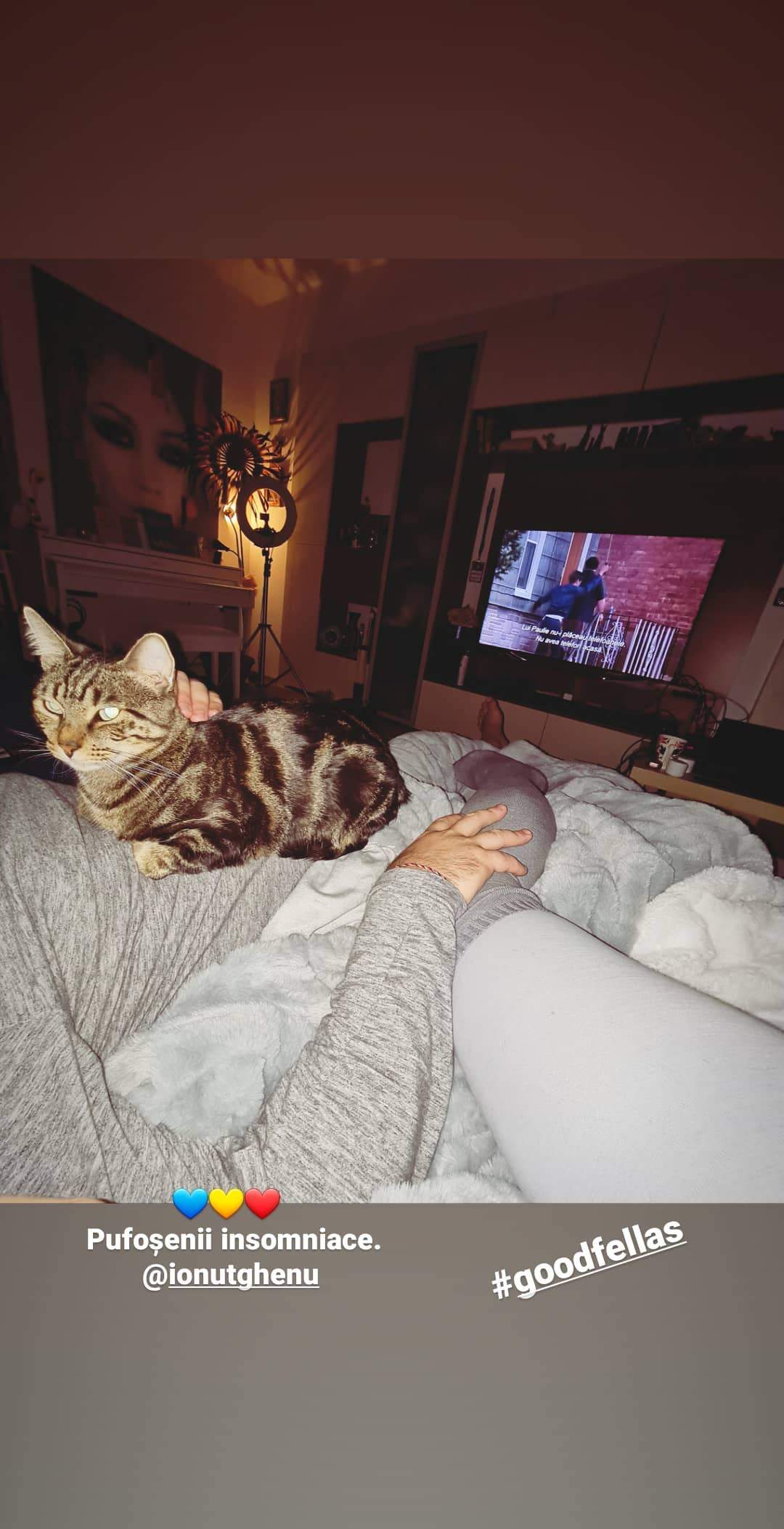 Lora și Ionut Ghenu s-au fotografiat în pat, alături de pisica lor