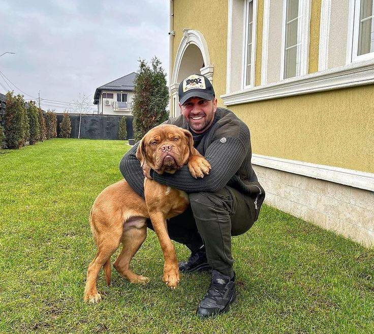 Alex Bodi se află în curtea casei cu animalul lui de companie. Afaceristul se joacă cu câinele său.