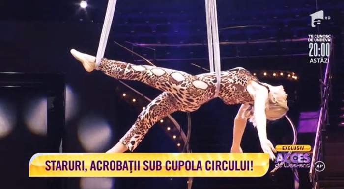 Adriana Trandafir și Diana Matei s-au reprofilat, și au devenit acrobate de circ! Imagini de senzație cu cele două artiste, așa cum nu le-ați mai văzut / VIDEO