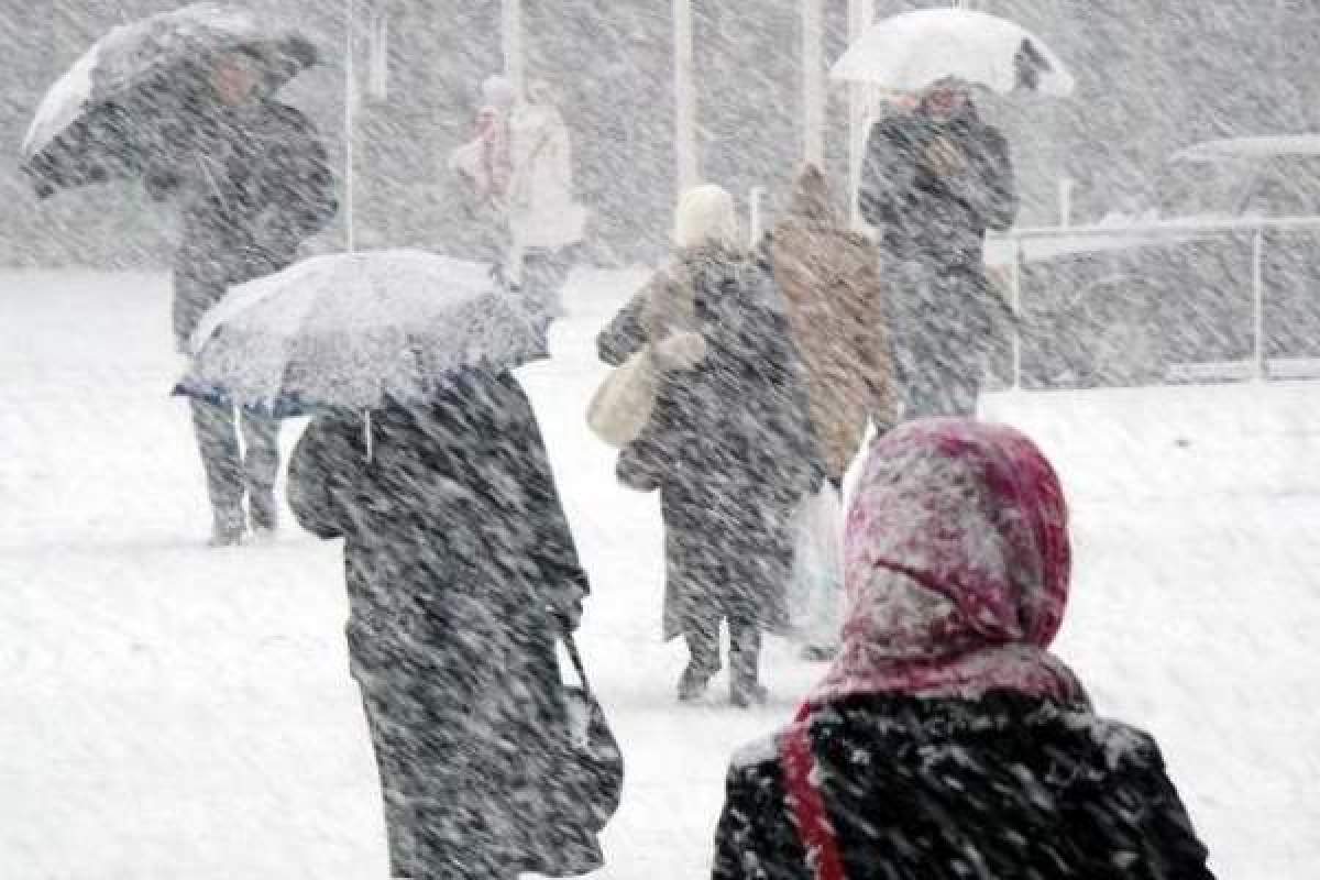 Oameni pe stradă cu umbrele în timp ce ninge!
