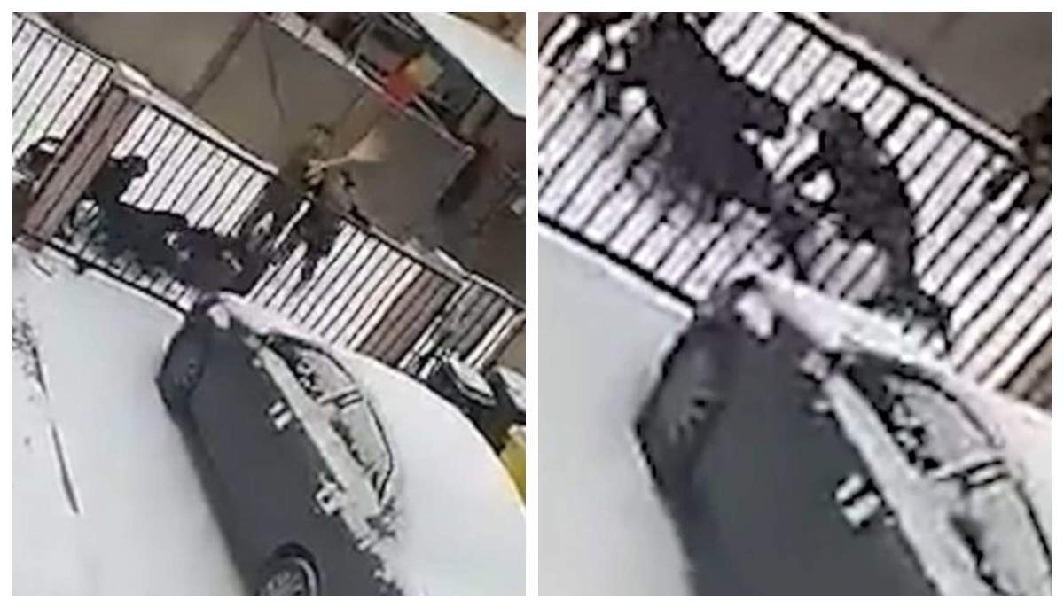 O femeie a fost atacată de patru rottweileri, pe o stradă din Suceava! În ce stare se află acum victima! Proprietara se apără