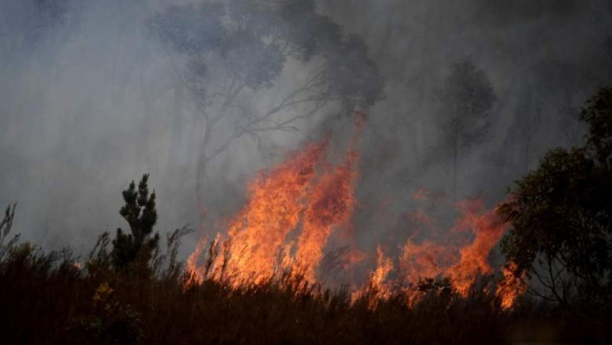 După incendiile devastatoare, Australia a fost lovită din nou! Zecii de mii de oameni au fost inundaţi din cauza furtunilor