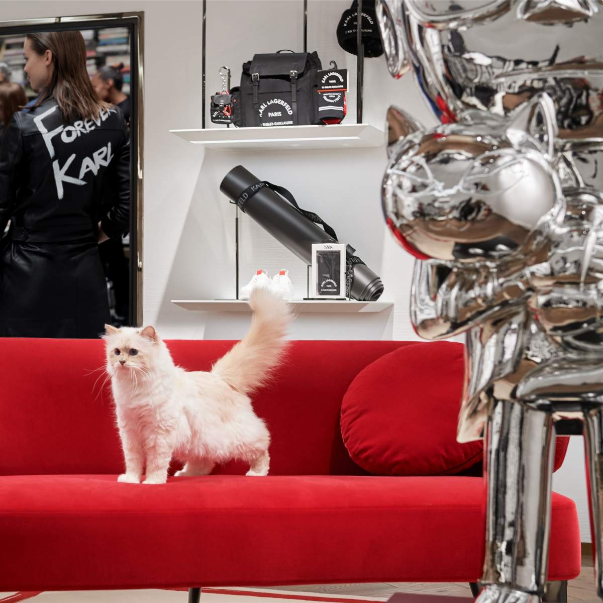 Ce s-a ales de pisica lui Karl Lagerfeld, la un de an de când vedeta i-a lăsat o mare parte din avere