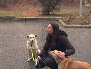 Câinii Cristinei Ţopescu îşi caută stăpân! Patrupedele fac terapie la Sibiu pentru a trece peste şocul pierderii stăpânei lor