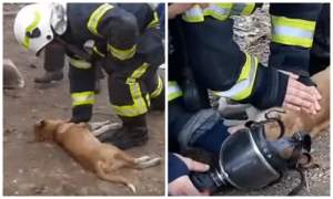 Emoționant! Imagini cu momentul când pompierii din Vrancea resuscitează doi căței și o pisică, salvați din incendiu / VIDEO
