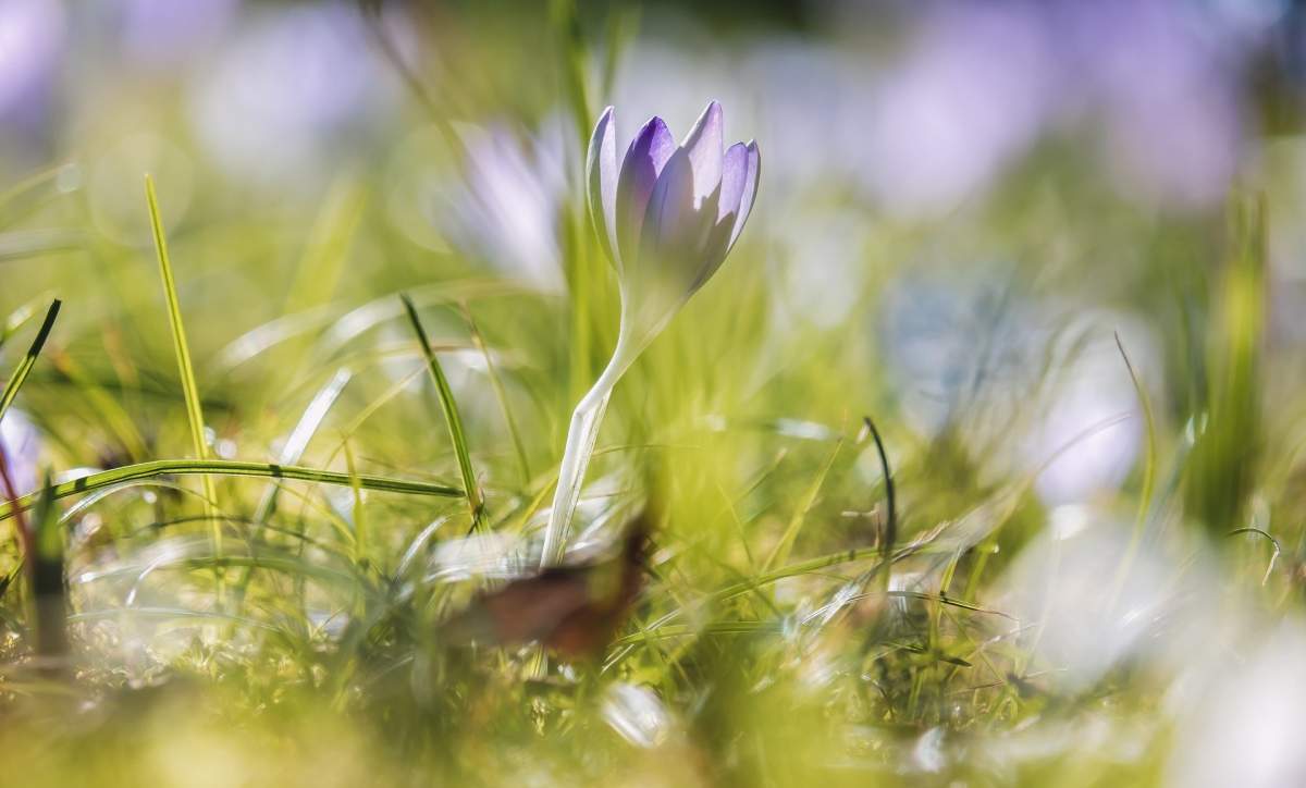 Prognoza meteo, azi, 19 martie 2020. Vremea se menține călduroasă