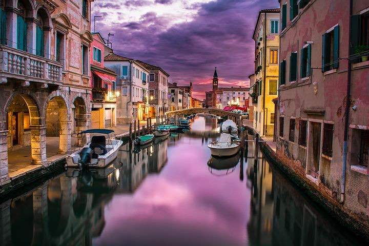 Coronavirus. Apa din Veneția s-a limpezit: prin canale înoata delfini