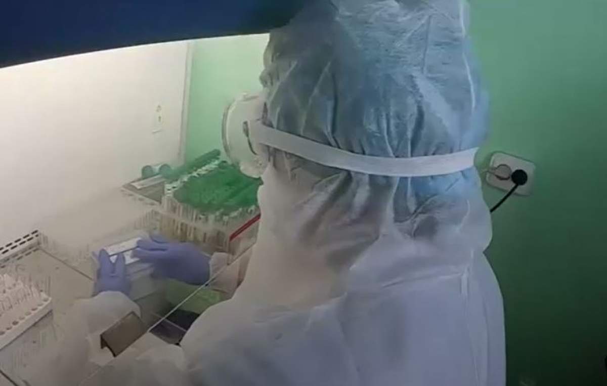 Biologii laboratorului din Timișoara lucrează testele COVID-19 fără încetare:  „O singură dată, în 10 ore, fac pauză”