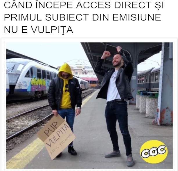 Cele mai bune MEME-uri cu vulpiţa şi Viorel! Cum au reuşit soţii Stegaru să ajungă în topul celor mai controversate personaje / GALERIE FOTO&VIDEO