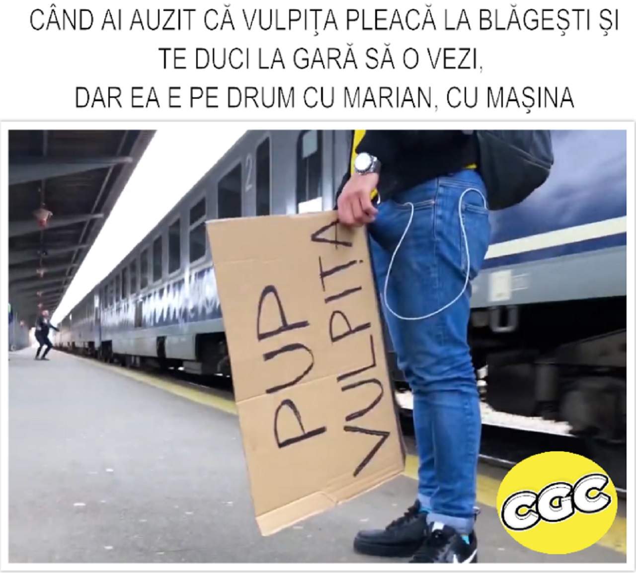 Cele mai bune MEME-uri cu vulpiţa şi Viorel! Cum au reuşit soţii Stegaru să ajungă în topul celor mai controversate personaje / GALERIE FOTO&VIDEO