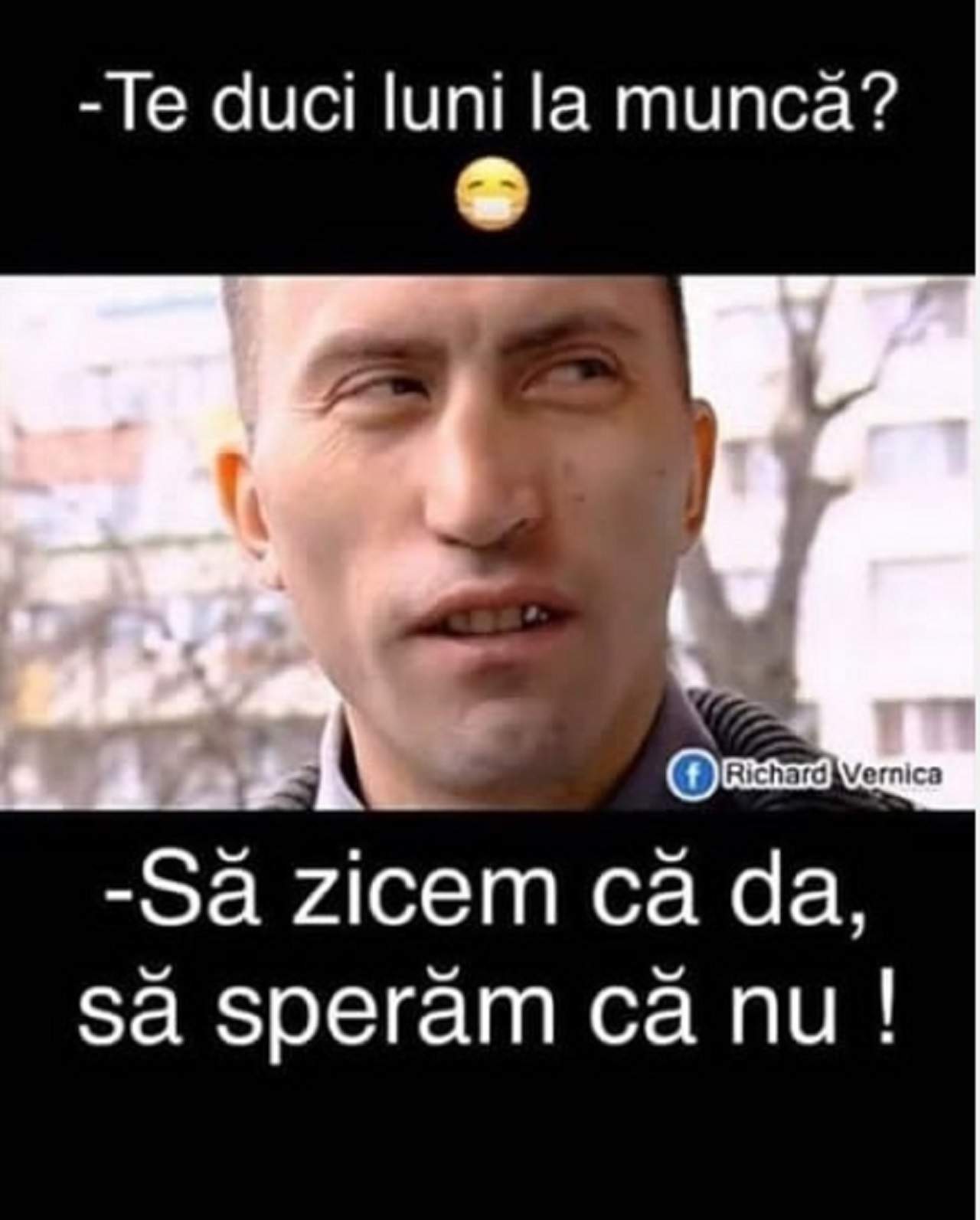 Cele mai bune MEME-uri cu vulpiţa şi Viorel! Cum au reuşit soţii Stegaru să ajungă în topul celor mai controversate personaje / GALERIE FOTO&VIDEO