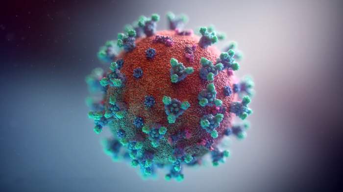 OMS: COVID-19 este de zece ori mai letal decât gripa