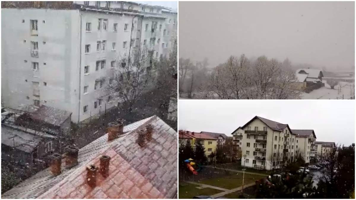 Zăpada mieilor în România! La Suceava ninge ca în basme, în plină primăvară / VIDEO