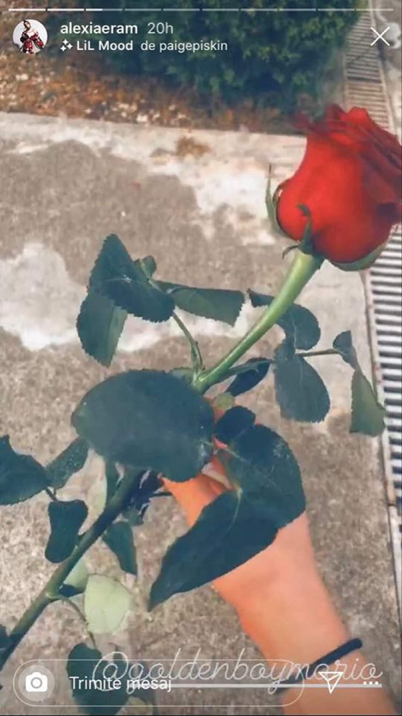 Mario Fresh, un romantic incurabil! Ce surpriză i-a făcut artistul iubitei sale Alexia Eram. Gestul cântărețului i-a emoționat pe fani / FOTO