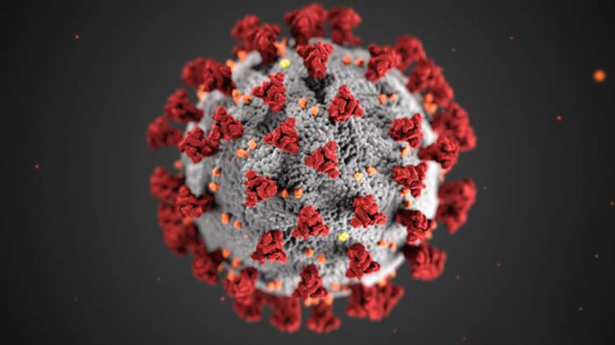 Bilanț coronavirus. Numărul deceselor în România a ajuns la 771